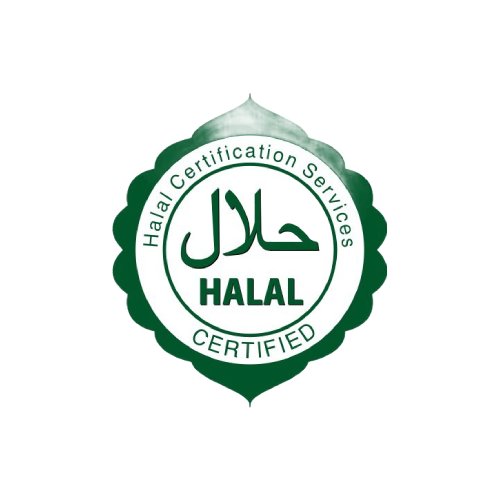 New-Project-2024-07-17T170958.661